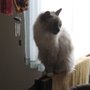 Photo of Claremont Ranch Animal Hospital