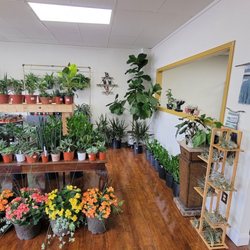 Pearl Plants