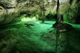 cenote santa cruz by null