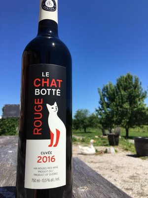 Le Chat Botté vignoble biologique et cidrerie / Le Chat Botte Organic Winery and Cidery by null