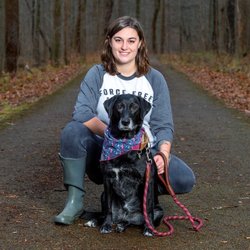 Canine Companion- Abbie Volpone - Experienced, positive reinforcement based dog trainer Abbie Volpone