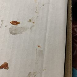 Bobbie's Pizza & Subs - Tomato skins