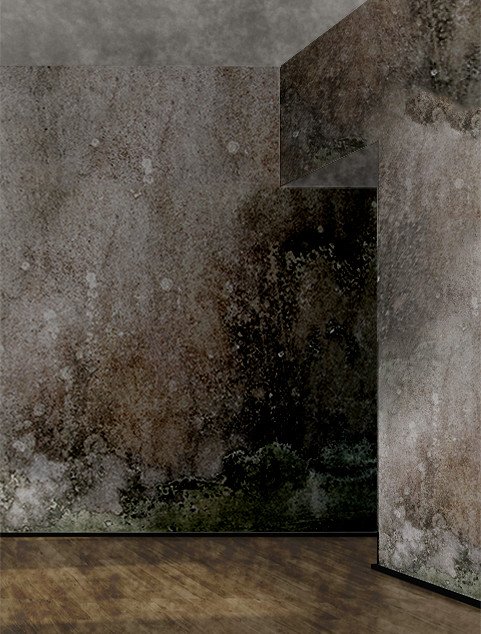 Slide of Restoration 1 of Oakland