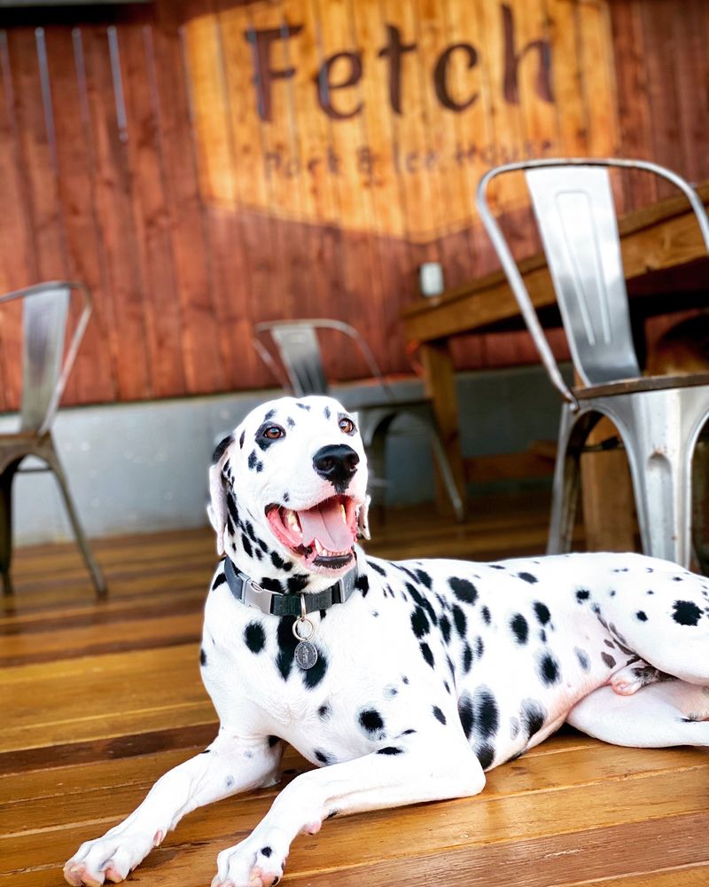 fetch-park-alpharetta-corporate-events-wedding-locations-event