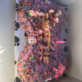 PJ's Pet Cafe - Cake - Pet Stores Near Me - Long Beach, California
