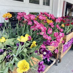 Flowers :) Flowers :)