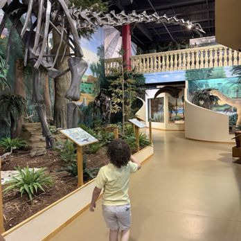 The Dinosaur Store - Museums Near Me - Cocoa Beach, Florida The Dinosaur Store - Museums Near Me - Cocoa Beach, Florida