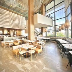 The Anecdote - Interior
