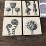 Studio Art and Stone