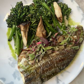 The Select - Grilled Trout Almondine - Mediterranean Near Me - Sandy Springs, Georgia The Select - Grilled Trout Almondine - Mediterranean Near Me - Sandy Springs, Georgia