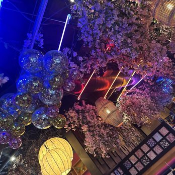 Lucky Robot Restaurant - Japanese Ambiance - Sushi Bars Near Me - Austin, Texas Lucky Robot Restaurant - Japanese Ambiance - Sushi Bars Near Me - Austin, Texas