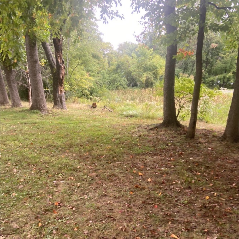 Nottoway Park-Hunter House - Dog Parks Near Me - Vienna, Virginia Nottoway Park-Hunter House - Dog Parks Near Me - Vienna, Virginia