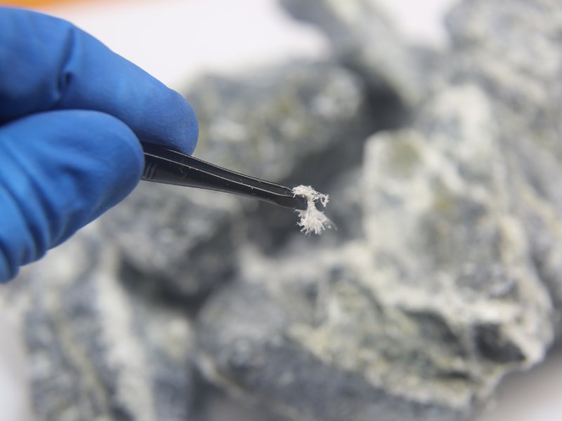 MMTS Environmental - mold inspector in Elkton, MD