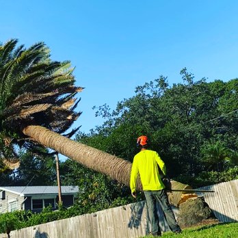 Resolute Tree Care - Tree Services Near Me Resolute Tree Care - Tree Services Near Me