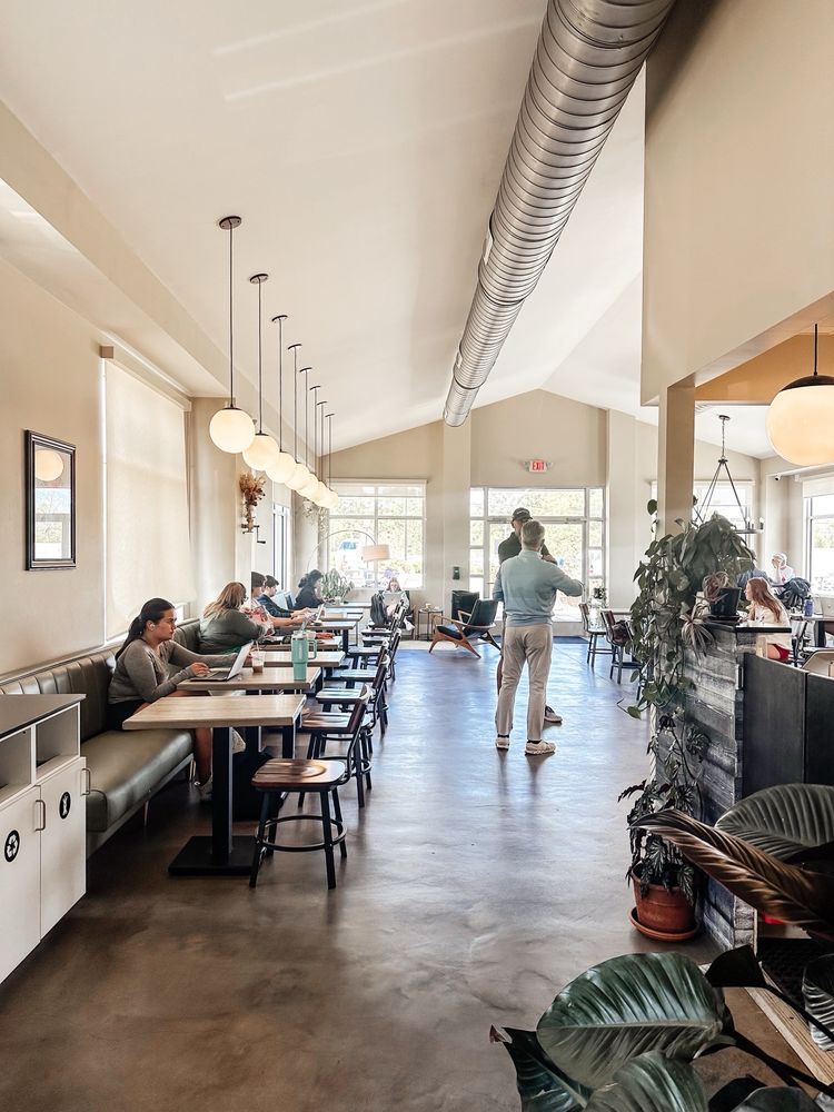 Molly’s Coffee Company