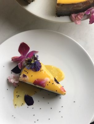 Muse Cheesecakes by null