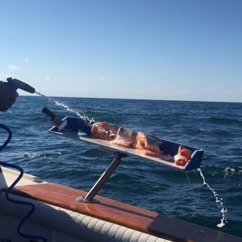 High Octane Charters - Boat Charters Near Me - Chicago, Illinois