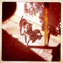 Photo of Silver Lake Dog Walkers