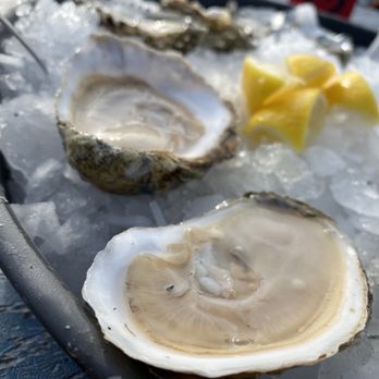 Taylor Shellfish Farms - Seafood Markets Near Me - Bow, Washington Taylor Shellfish Farms - Seafood Markets Near Me - Bow, Washington