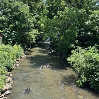 Bridge Park - River view from Bridge - Parks Near Me - Sylva, North Carolina