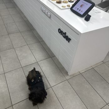 Crumbl - Quarry - Pet friendly - Bakeries Near Me - San Antonio, Texas Crumbl - Quarry - Pet friendly - Bakeries Near Me - San Antonio, Texas