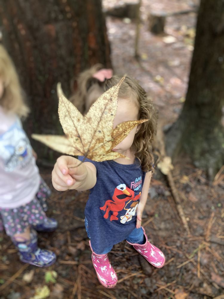 The Kinder Garden Preschool - childcare center in Raleigh, NC