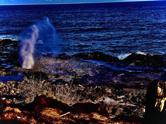 Spouting Horn by null