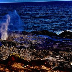 Spouting Horn