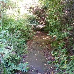 Rosshall Park