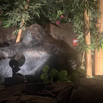 Rainforest Cafe - Decor - American Near Me - Ontario, California