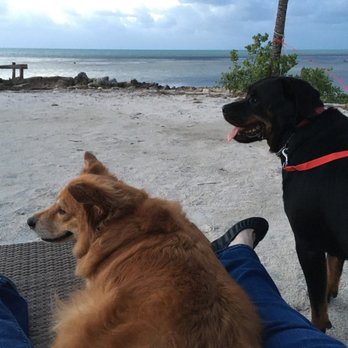 Rainbow Bend Resort - Hotels Near Me - Marathon, Florida Rainbow Bend Resort - Hotels Near Me - Marathon, Florida