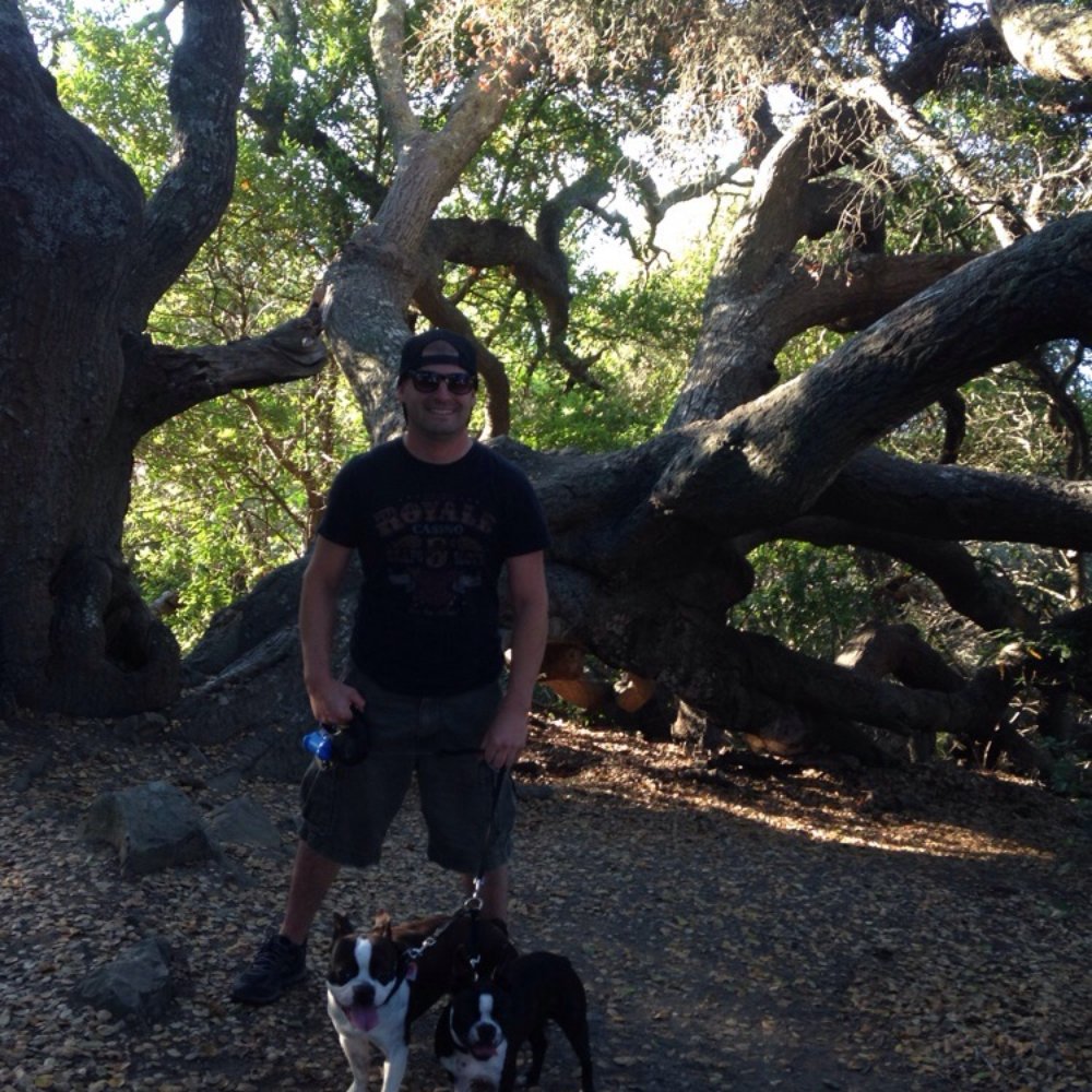 Ring Mountain Preserve - My doggies and I half way up the trail under the old oak tree:) - Parks Near Me - Corte Madera, California Ring Mountain Preserve - My doggies and I half way up the trail under the old oak tree:) - Parks Near Me - Corte Madera, California
