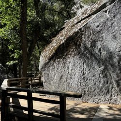 Lower Yosemite Falls