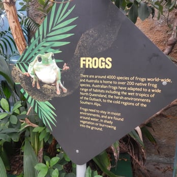 Sydney Wildlife World - Zoos Near Me - Darling Harbour, NSW