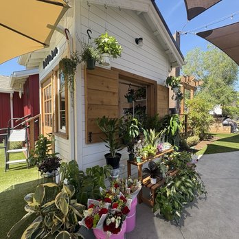 Farm House Collective - Plant shop - Shopping Centers Near Me - Riverside, California Farm House Collective - Plant shop - Shopping Centers Near Me - Riverside, California