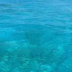 Jetpack Adventures - Clear waters near Isla Mujeres