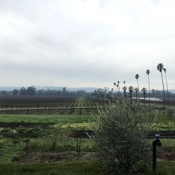 Scribe Winery - Wineries Near Me - Sonoma, California Scribe Winery - Wineries Near Me - Sonoma, California