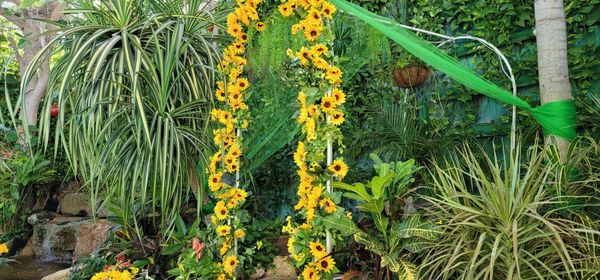 El Huerto del Edén by null