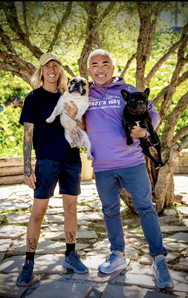 Revolution Dog Training - pet boarding facility in Tampa, FL