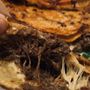 Photo of Las Asadas