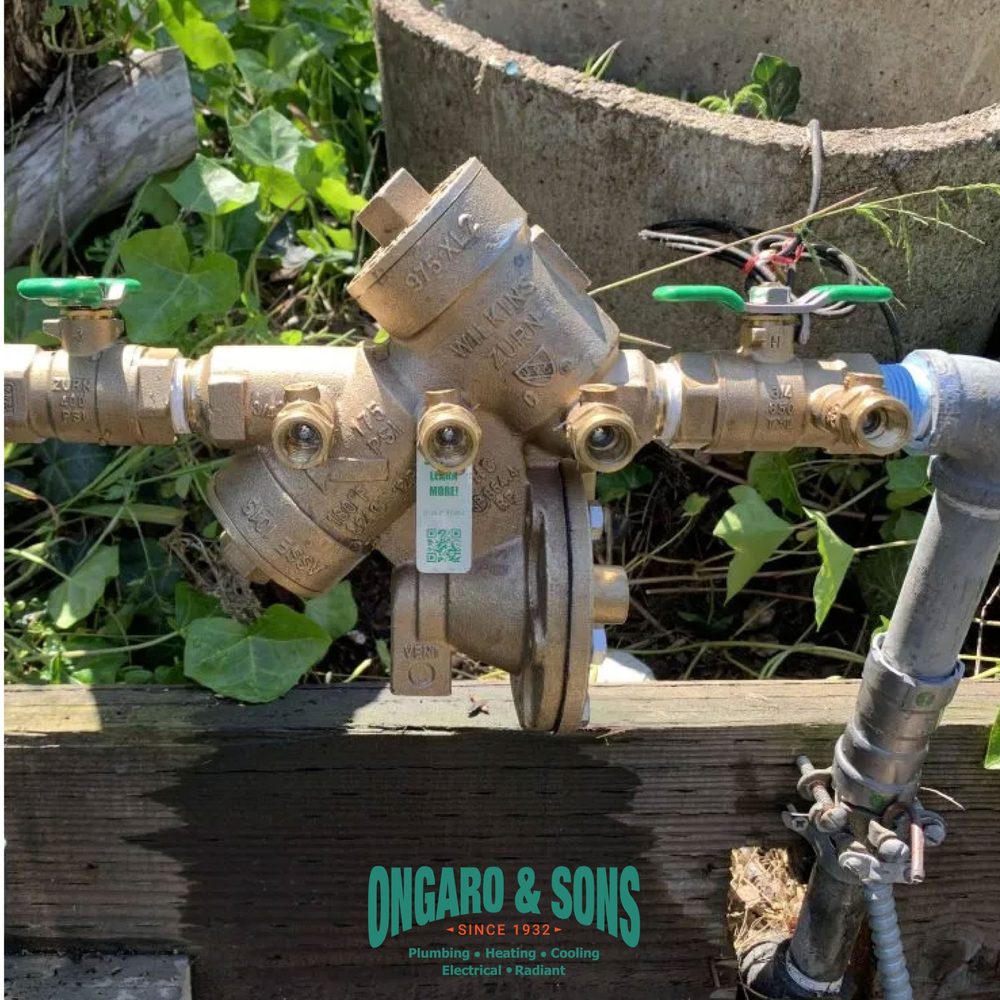 Slide of Ongaro & Sons