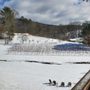 Photo of Redtail Mountain Vineyard