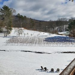 Redtail Mountain Vineyard