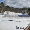 Redtail Mountain Vineyard gift card
