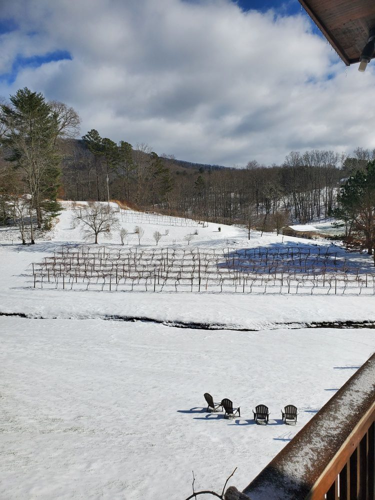 Redtail Mountain Vineyard Logo