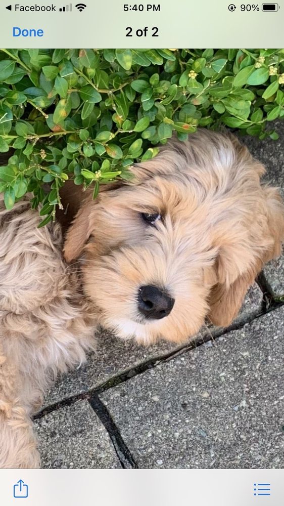 RAYNHAM VETERINARY HOSPITAL 402 South St E, Raynham, Massachusetts