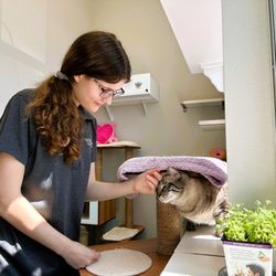 Whiskers - Many of our rooms have sunny windows with birdfeeders outside.
