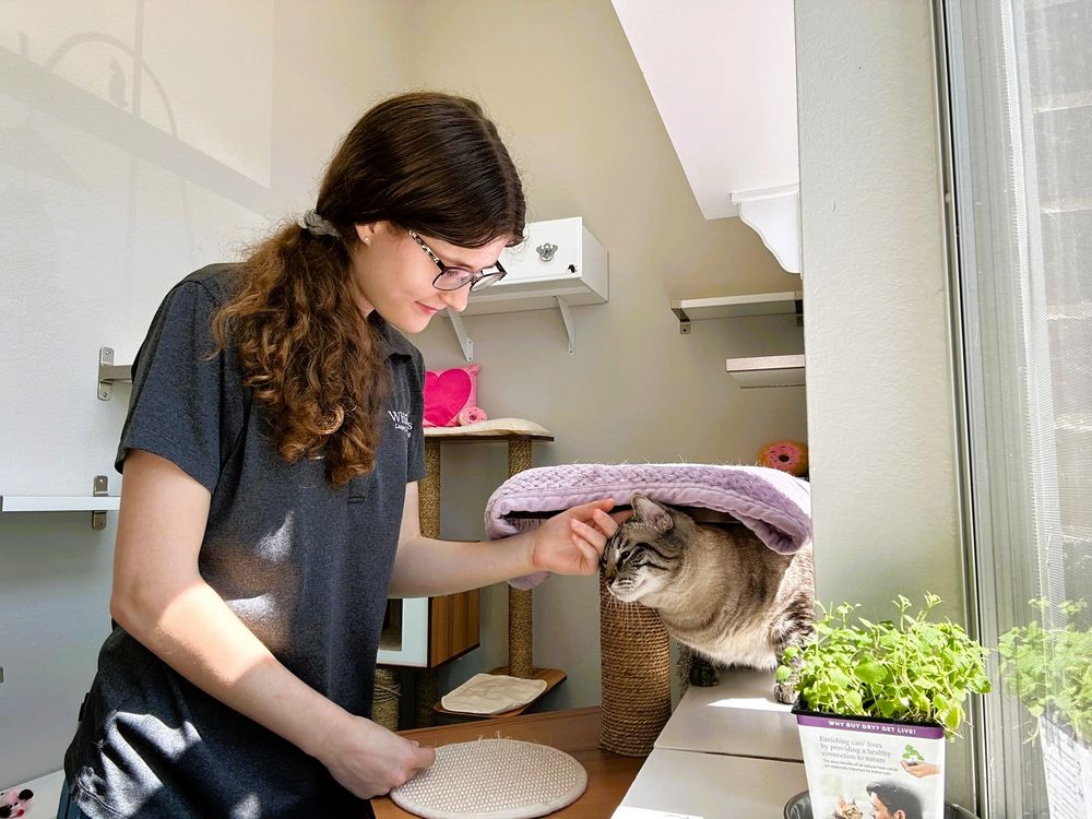 Whiskers - pet boarding facility in Georgetown, TX