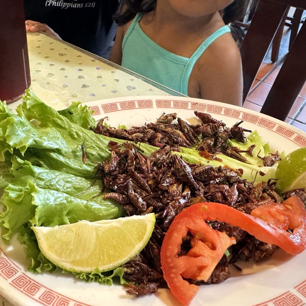 Sabores De Oaxaca - Chapulines - Mexican Near Me - Los Angeles, California