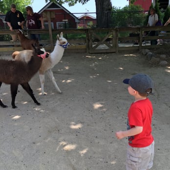 Randall Oaks Zoo - Zoos Near Me - West Dundee, Illinois Randall Oaks Zoo - Zoos Near Me - West Dundee, Illinois